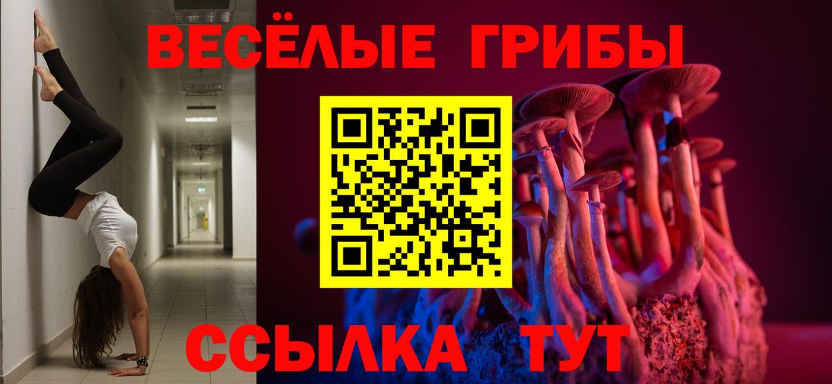 Касимов  Псилоцибиновые грибы Psilocybine cubensis  Вход с VPN  Псилоцибиновые грибы мухоморы 