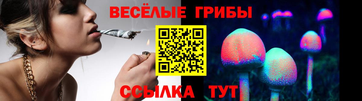 Псилоцибиновые грибы прущие грибы Касимов